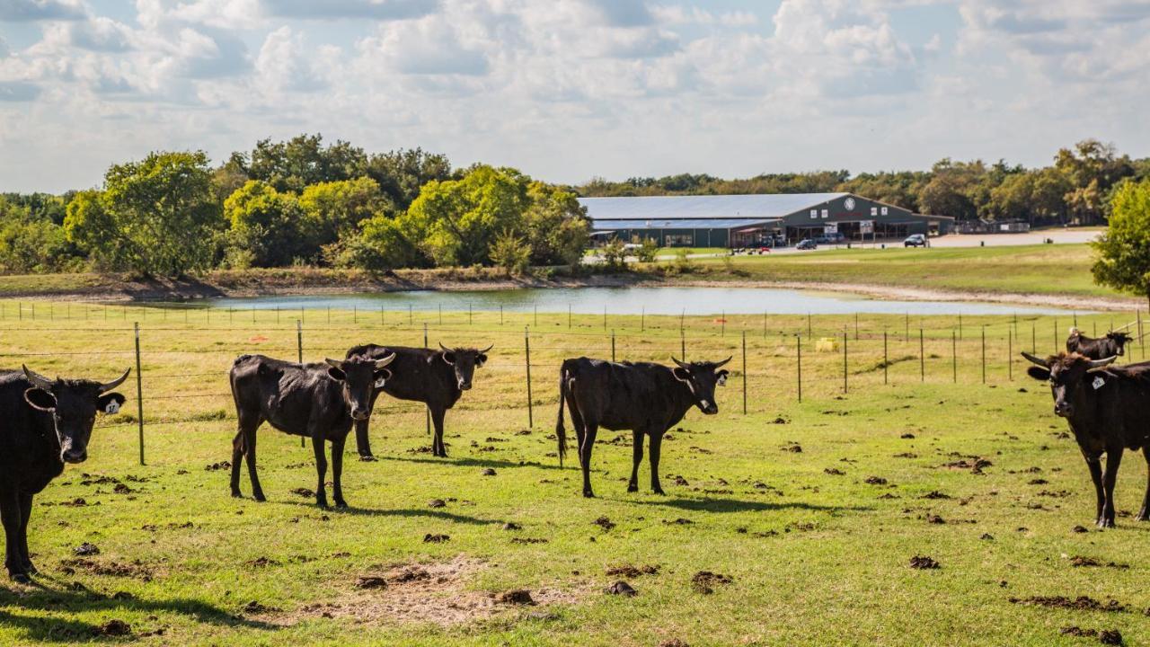 Nrs Event Center & Guest Ranch 3* Decatur