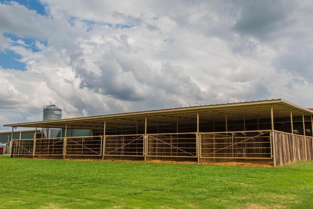 Affittacamere Nrs Event Center & Guest Ranch